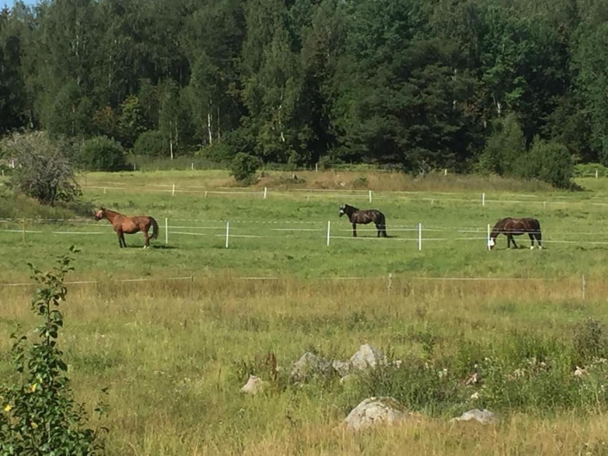 Egen Laegenhet I 2-Familjshus Pa Landet. Villa Tierp Kültér fotó